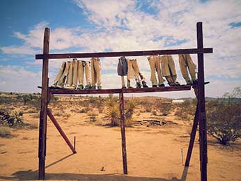 Joshua Tree Art