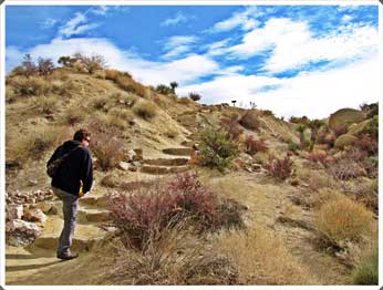 Joshua Tree Hiking