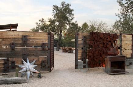 Joshua Tree Mojave Sands