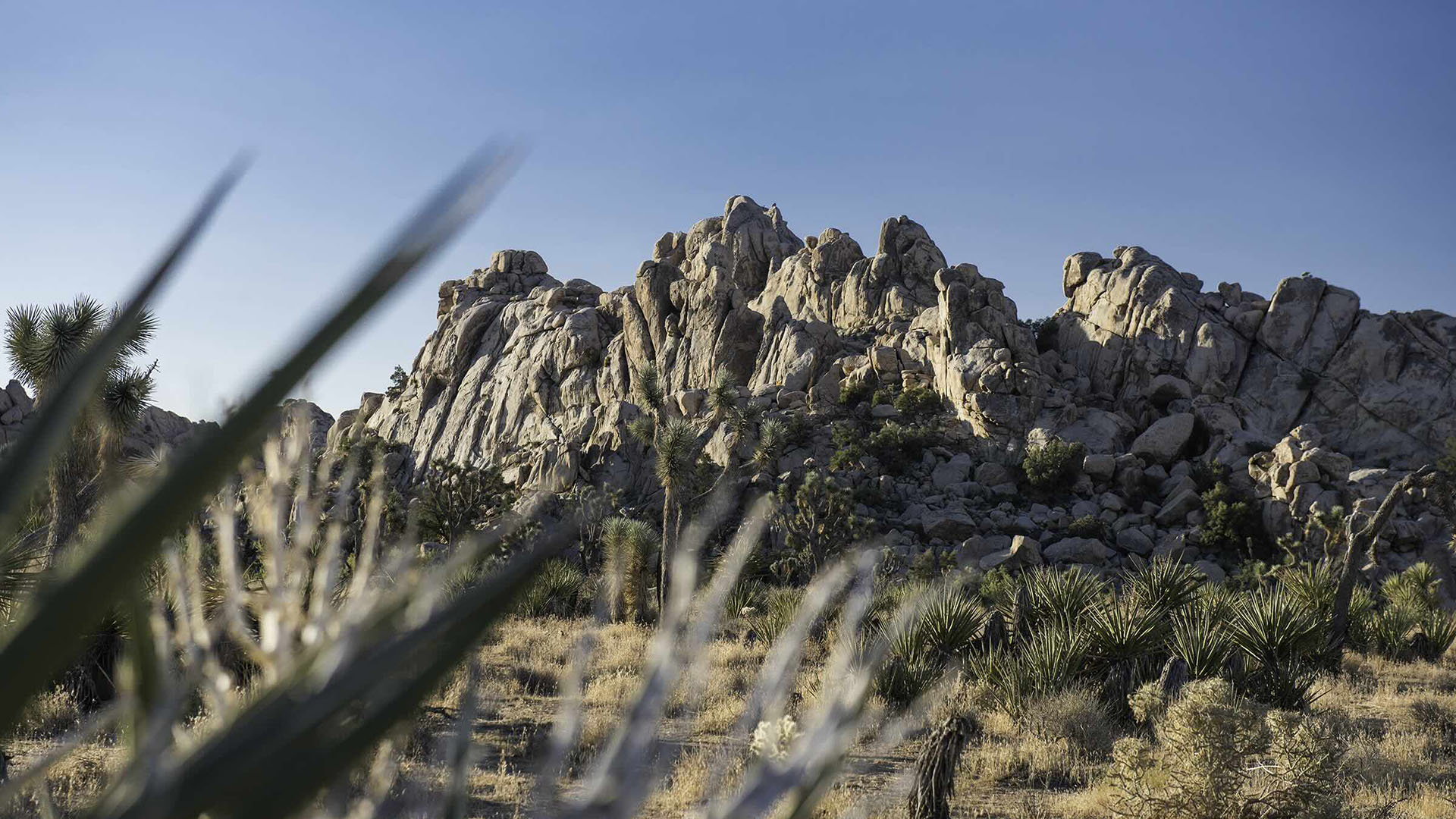 CliffLandscapes4 copy 2