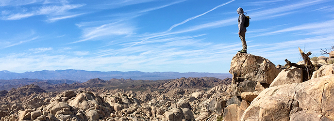Hiking Joshua Tree National Park