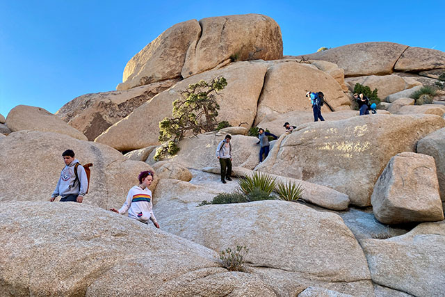 mountain-climbing copy Fun Rock Climbing Joshua Tree